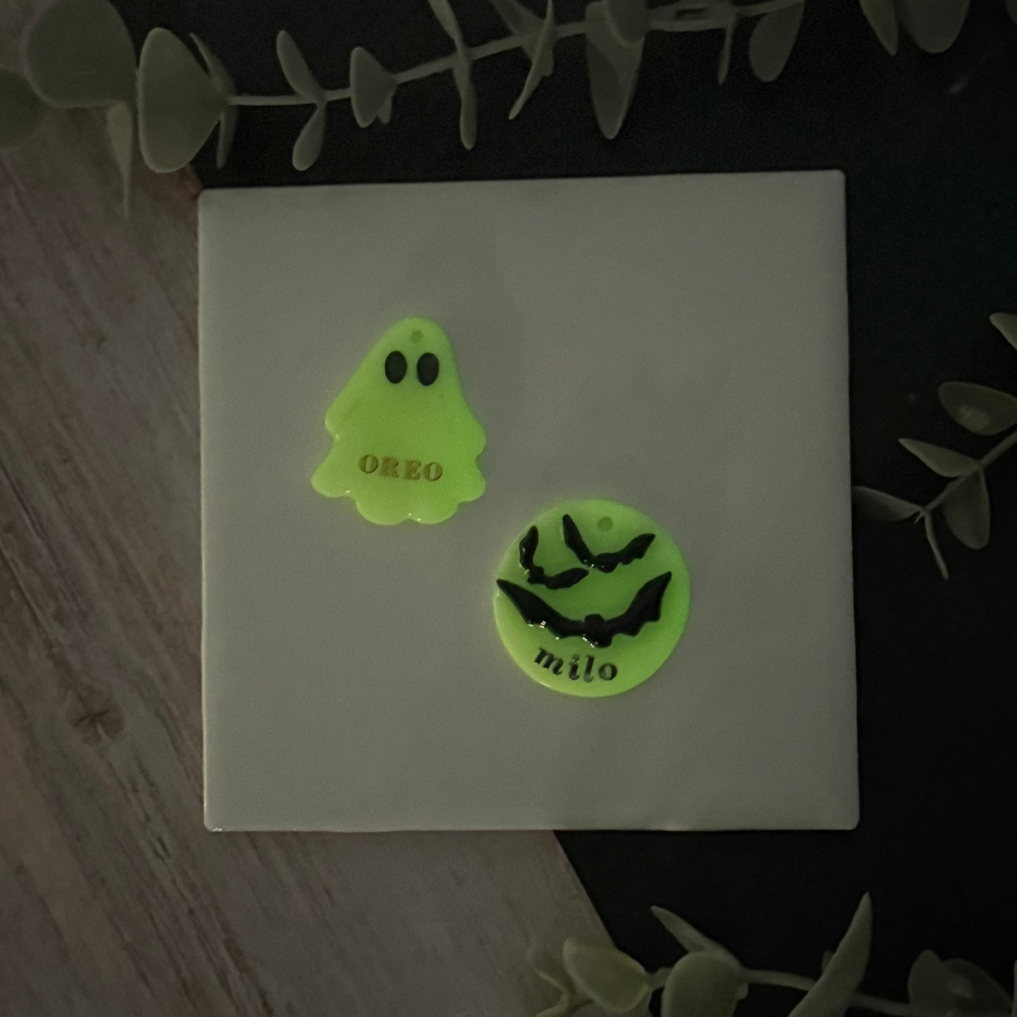 Glow In the Dark ghost or Bats Tag