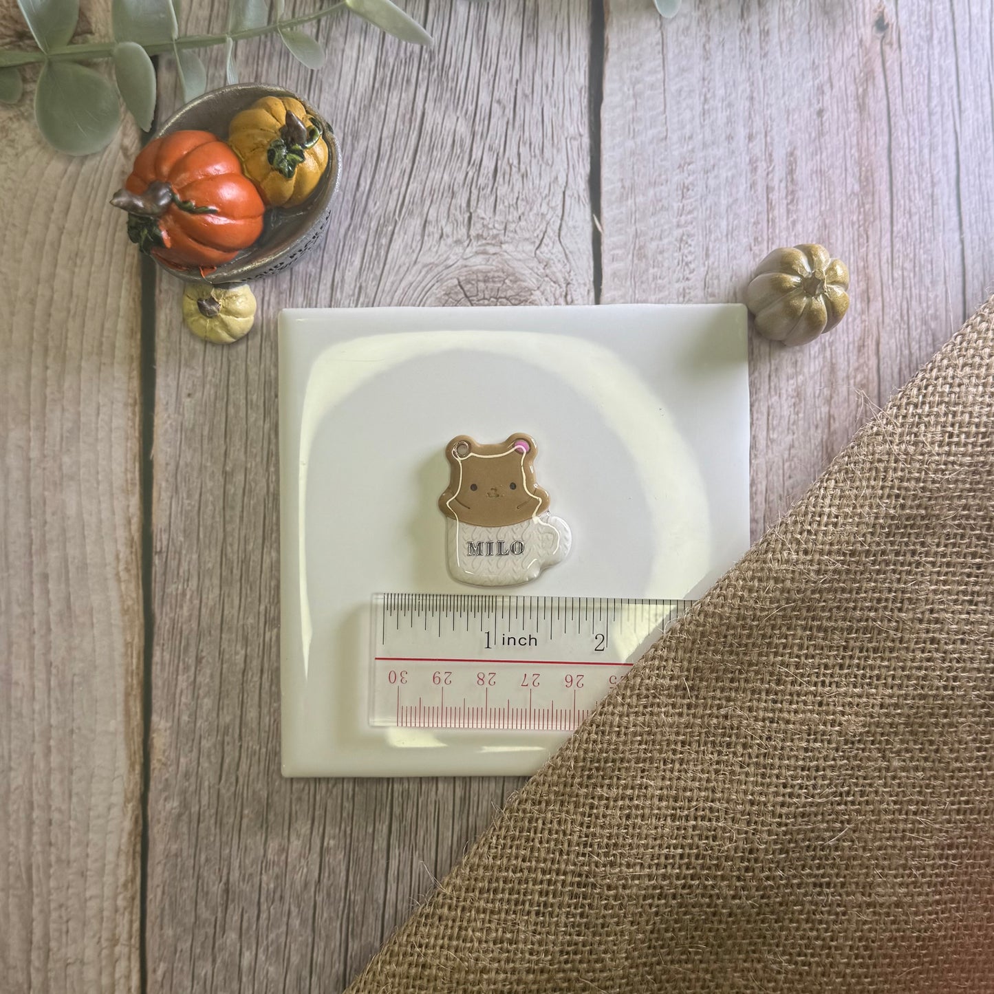 “Beary” Cute and Cozy Tag