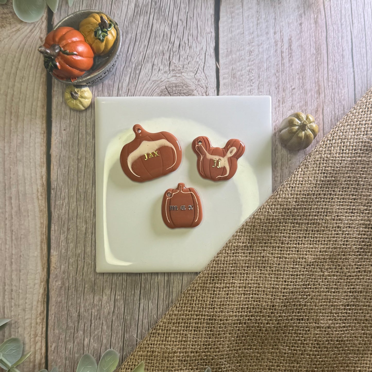 Pumpkin Tag