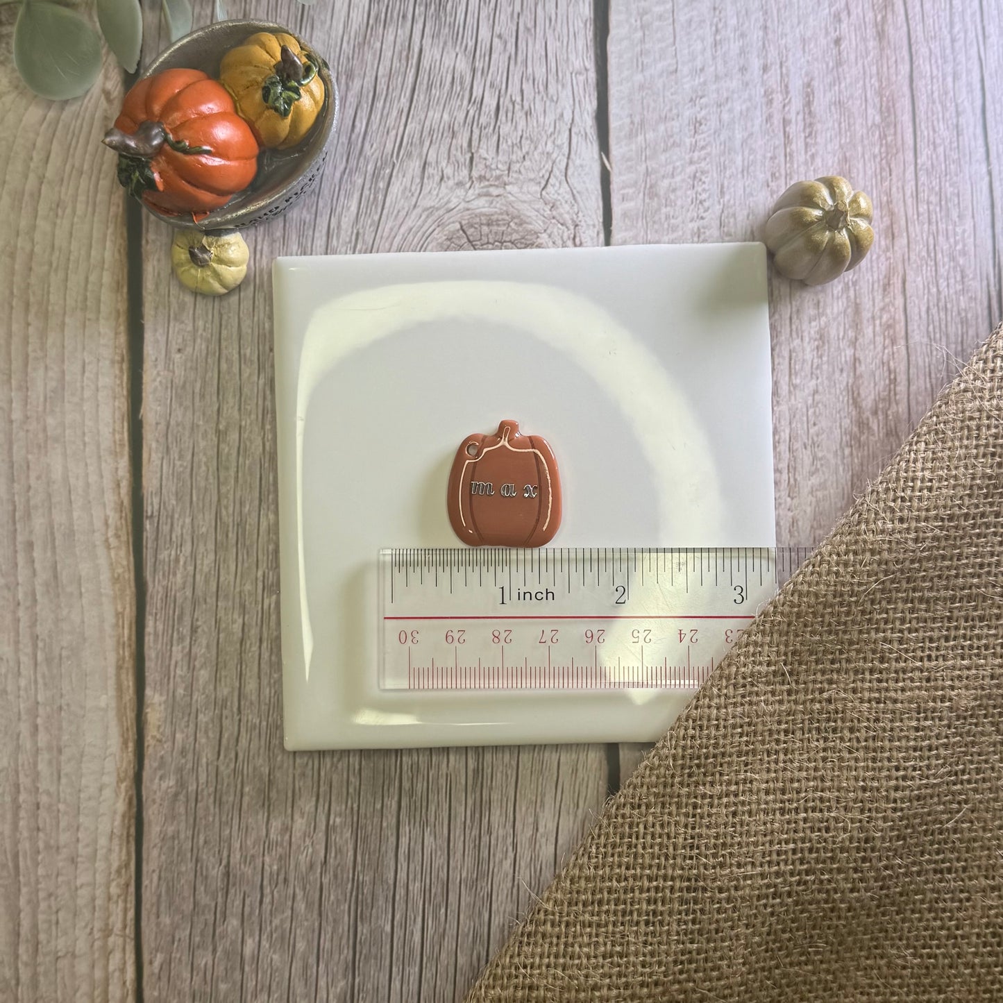 Pumpkin Tag